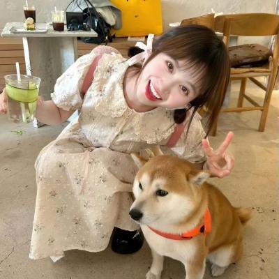 热斗小斑马